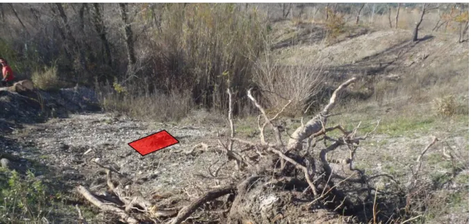 Figure 2: zone d'enfouissement des racines vu depuis le carrefour des pistes.  