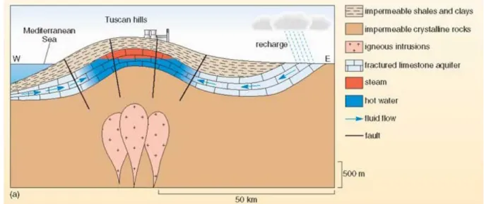 Figure 4 : Coupe transversale du champ géothermique de Lardarello en Toscane, Italie (The Open  University, 2016) 