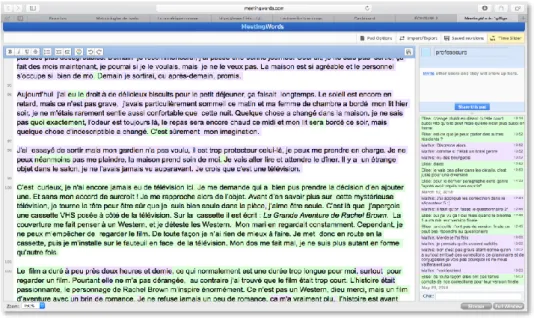 Figure 6a - Exemple de révision collaborative sur un pad au sein du binôme. 