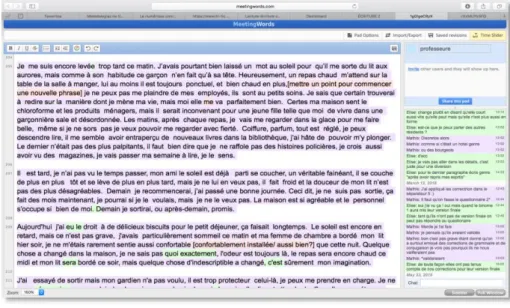 Figure 6b - Extrait de la révision collaborative effectuée par un autre binôme. 