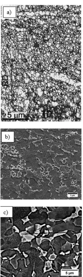 Figure 3. Static tests: Grain coarsening evolution for diffe- diffe-rent times at 870 8 C
