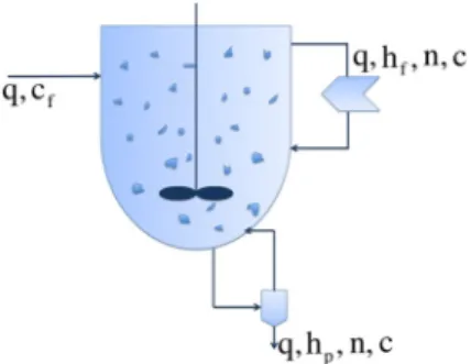 Figure 1. Continuous KCl crystallizer [23] filled with liquid (solute and solvent) and solids (crystals)