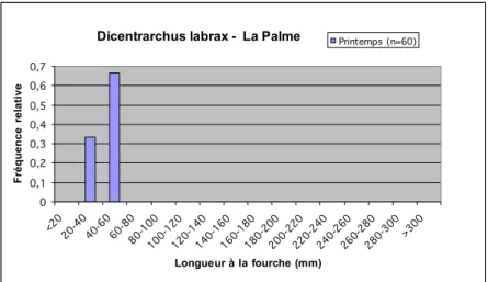 Figure 20 : Distribution en taille des captures de bar franc (Dicentrarchus labrax) réalisées sur l’étang de La  Palme au printemps 2006