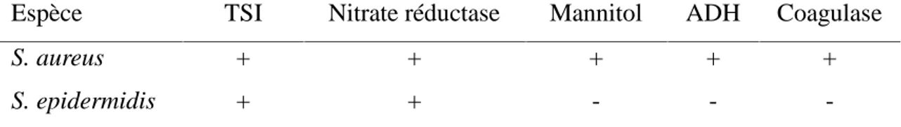 Tableau 1. Principaux caractères biochimiques des staphylocoques isolés.