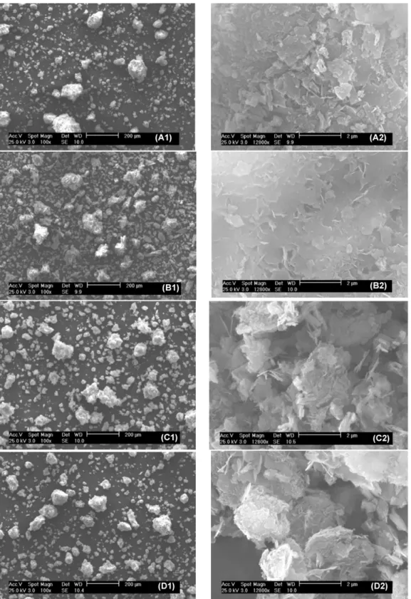 Fig. 7. SEM analysis of the solid products after 48 h of reaction using orthophosphoric acid (A1, A2), sodium dyhydrogen phosphate (B1, B2), potassium dihydrogen phosphate (C1, C2) and ammonium dihydrogen phosphate (D1, D2).