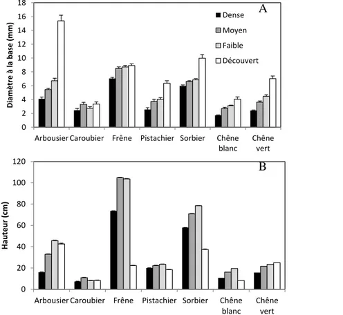 Figure 5. Croissance des feuillus en fonction des types de couvert A) en diamètre mesurée à  la base des plants et B) en hauteur 