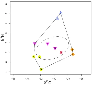 Figure 5 : Représentations de la niche isotopique : en trait plein la représentation basée sur le polygone convexe et en trait  pointillé celle utilisant l’ellipse standard