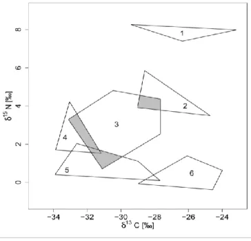 Figure 6 : Représentation théorique des niches trophiques isotopiques de 6 espèces (polygones convexes 1 à 6)