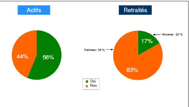 Figure 7 : Activité professionnelle après la retraite 