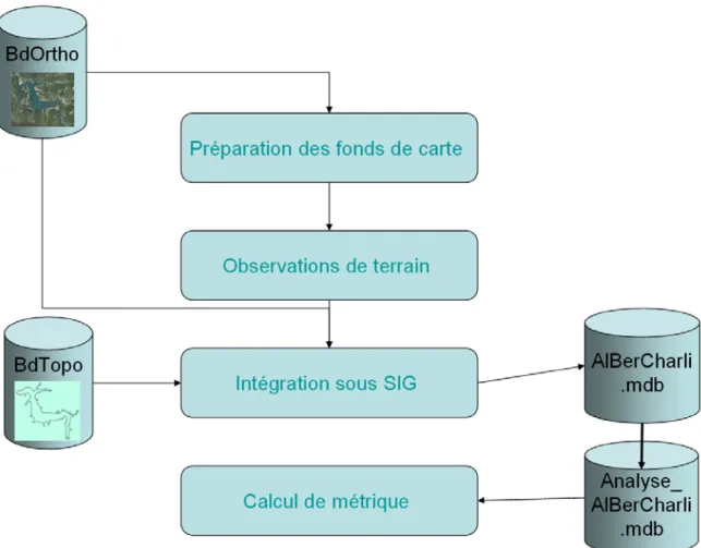 Figure 1 : méthodologie générale 
