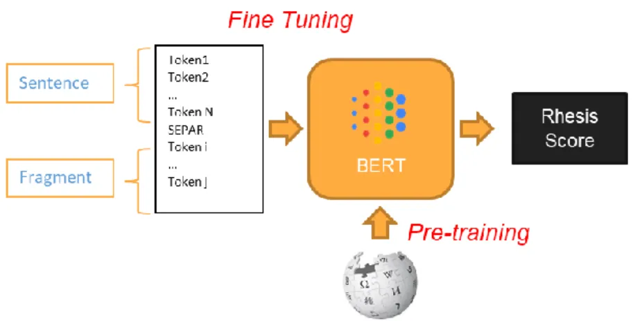 Figure 5 : Fine Tuning Architecture 