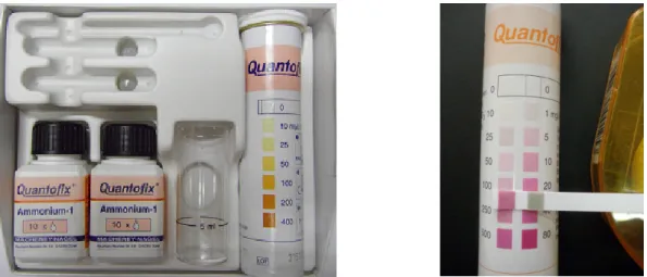 Figure 1. Composition du kit de bandelettes «ammonium» et tube de bandelettes «nitrate-nitrite»  