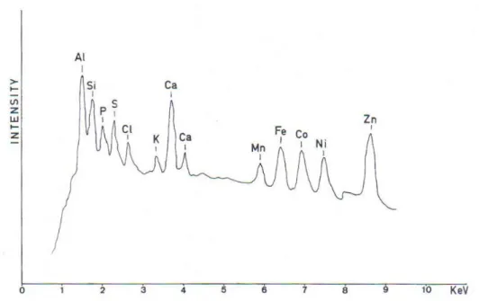 Figure 10: Spectre du pigment bleu. 