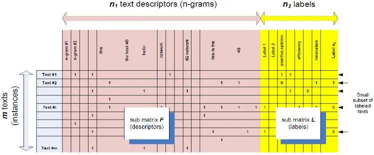 Figure 1: The large sparse matrix X of the texts described by their n-grams and their labels