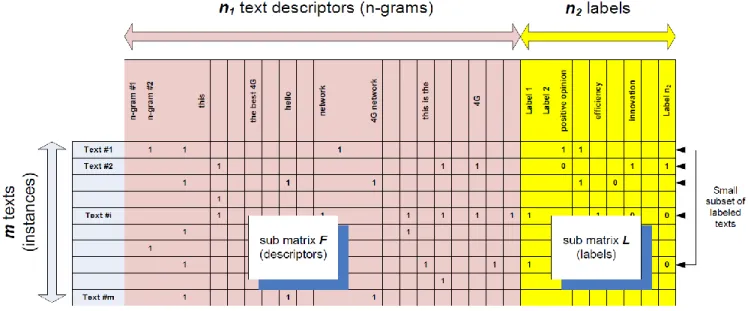 Figure 1: The large sparse matrix X of the texts described by their n-grams and their labels