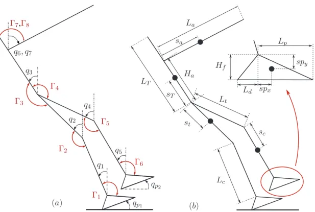 Figure 3 – Model of the planed biped. a) Parameterization of the biped. Note that angles are positive in counterclockwise