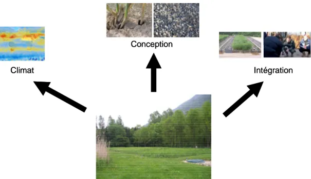 Figure 8 : Problématique de l'adaptation des filtres plantés au contexte tropical 
