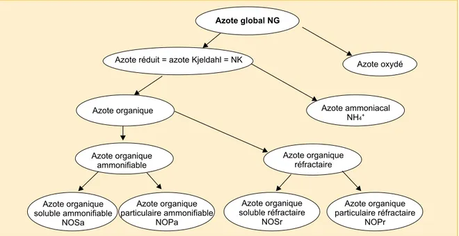 Figure I.1. – Terminologie des formes de l’azote