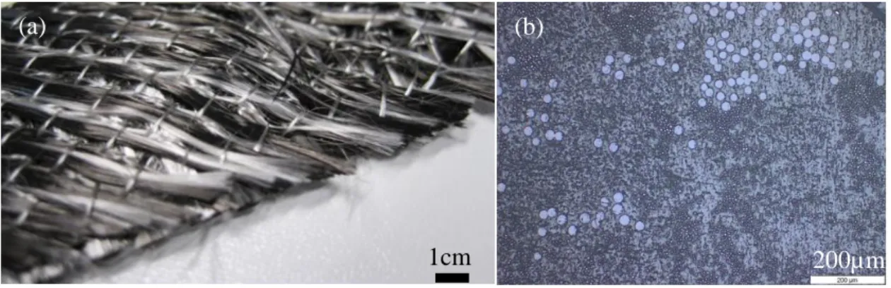 Fig. 2. Continuous AS4/PEEK NCF1. (a) Macroscopic view; (b) Cross-section microstructure of a  NCF unidirectional ply