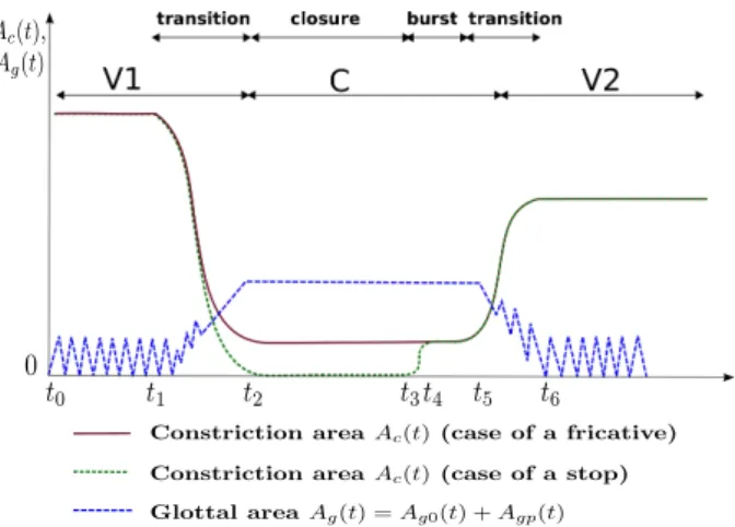 Figure 1: Coordination of supraglottal constriction and glottal area. The blue dotted line shows the schematic glottis area, the solid brown line indicates the constriction when producing a fricative and the dotted green line indicates the constriction whe