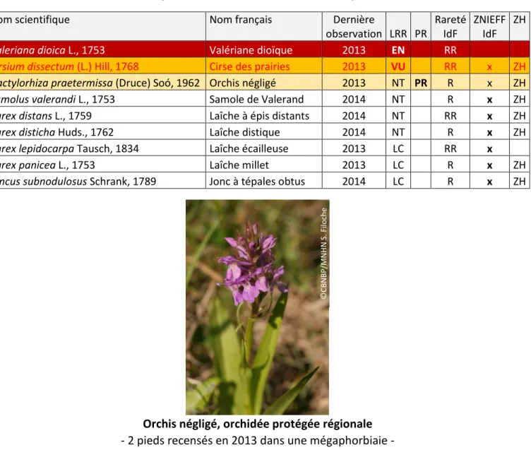 Tableau n°1 : Liste des 9 espèces d’intérêt sur l’ENS de La vallée du Lunain   (Extraction BD FLORA du 03/02/2020) 