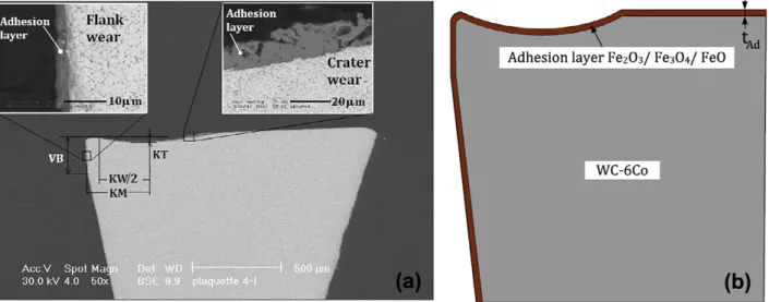 Fig. 3. (a) Cross-section, perpendicular at the cutting edge and detail of adhesion layer on tool flank wear and on tool crater [16]