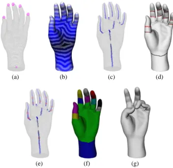 Fig. 1 Main steps of the framework. First, feature points are extracted (a). Then a mapping function (b) is contoured both to construct a  topo-logical skeleton (c) and to enhance it (e) with constrictions (d)