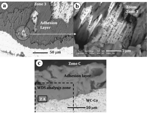 Fig. 12.EDS analysis on the adhesion layer in cross-section (small square zone ZA Fig