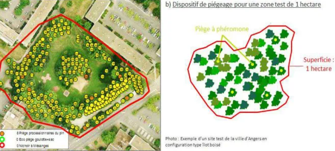 Figure 9 : P oto ole d’i stallatio  des pi ges à ph o o e da s la  o figu atio  t pe « îlots boisés »