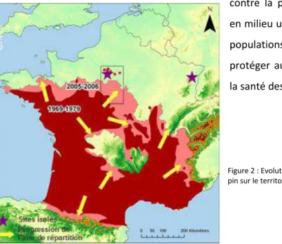 Figu e   : Evolutio  de l’ai e de  pa titio  de la p o essio ai e du  pin sur le territoire national de 1969 à 2006