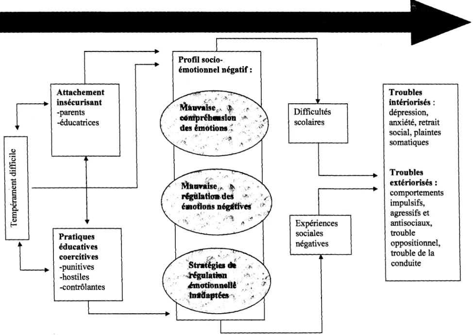 Figure 1 Chaine développementale de la régulation émotionnelle