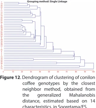 Figure 12. Dendrogram of clustering of conilon  coffee genotypes by the closest  neighbor method, obtained from  the generalized Mahalanobis  distance, estimated based on 14  characteristics, in Sooretama/ES