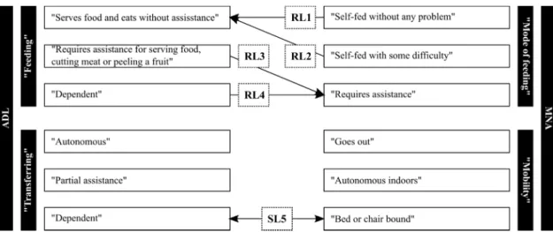 Fig. 3.  Semantic links “relating to” (RL) and “similar to” (SL) resulting from mapping between MNA and ADL surveys