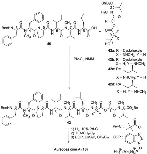 Figure 20 : Synthèse totale de l’Auréobasidine A (18) en solution par le groupe Jao51