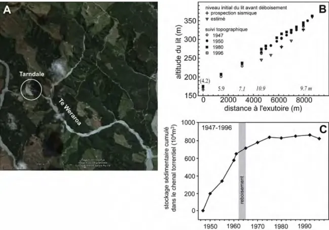 Figure 14 : Réponse morphologique au déboisement des versants en Nouvelle-Zélande.  