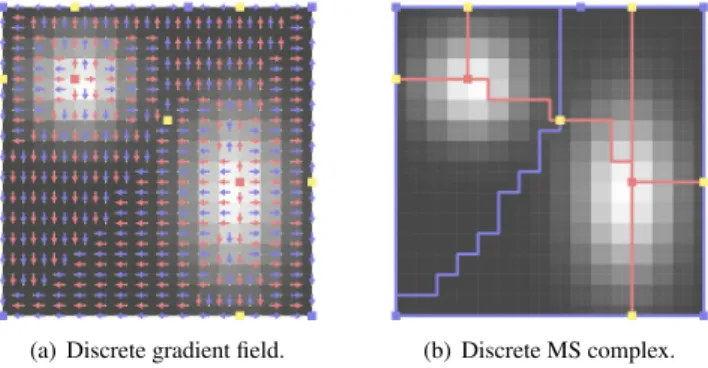 Fig. 2. Discrete gradient field of a simple synthetic function. Blue ar- ar-rows illustrate the pairing of 0-cells (vertices) with 1-cells (edges) while red arrows show the pairing of 1-cells (edges) with 2-cells (faces)