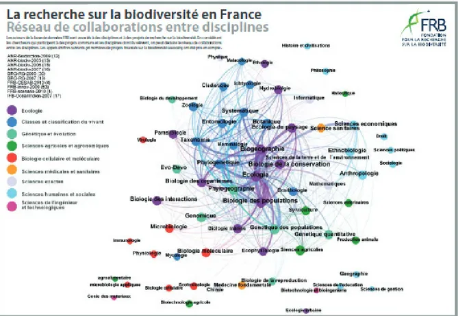 Figure 4 : Réseau de collaborations entre discipline dans la recherche sur la biodiversité en  France