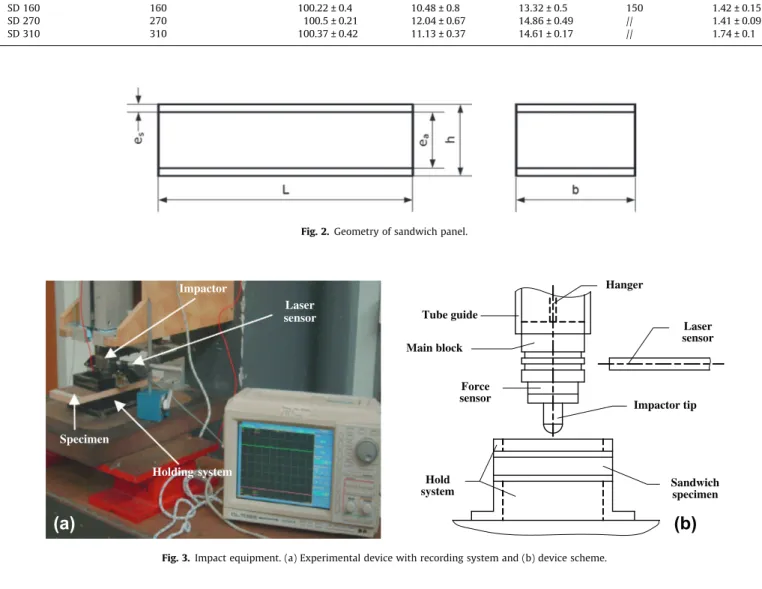 Fig. 3. Impact equipment. (a) Experimental device with recording system and (b) device scheme.