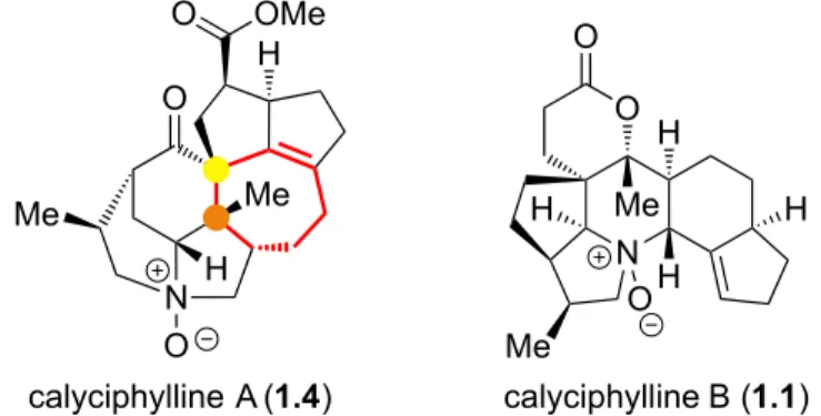 Figure 1.3. Comparaison des structures des calyciphyllines A et B. 