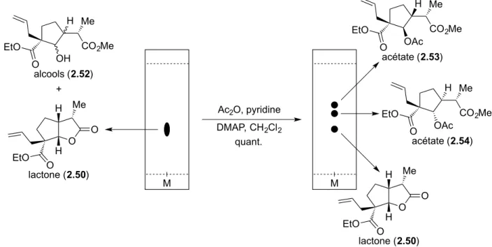 Figure 2.4. Comparaison des effets nOe observés pour les lactones. 