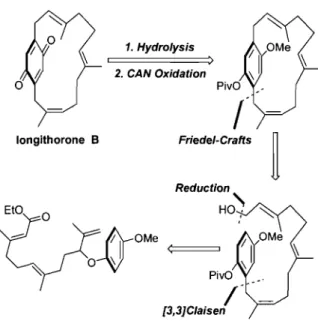 Figure 5 - Retrosynthetic Analysis of Longithorone B. 