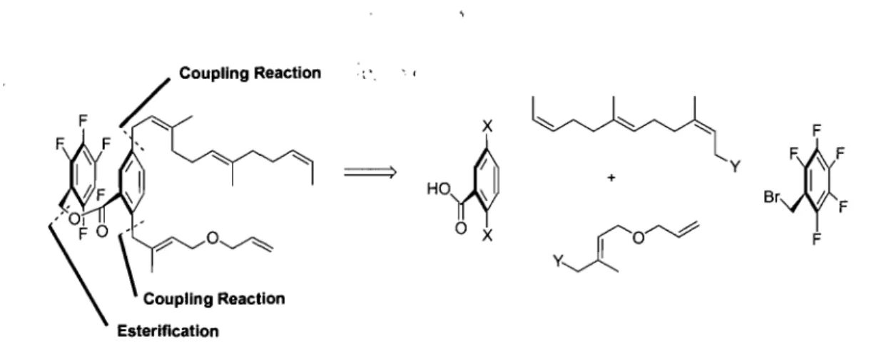 Figure 13 - Retrosynthetic Analysis of Longithorone C. 