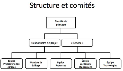 Figure 1 - Structure et comités du projet de déménagement du département de néonatalogie 