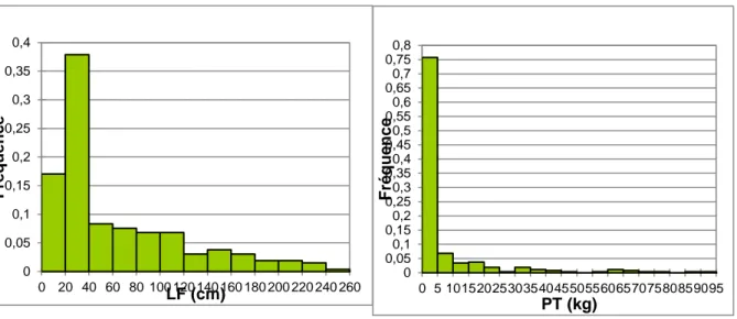 Figure 23 : Distribution des silures capturés en Loire en fonction de leurs tailles et de leurs  masses (fréquences) 