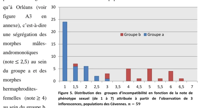 figure  A3  en  annexe), c’est-à-dire  une  ségrégation  des  morphes   mâles-andromonoïques  (note ≤ 2,5)  au  sein  du  groupe  a  et  des  morphes   hermaphrodites-femelles  (note ≥ 4)  au sein du groupe b