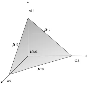 Fig. 2. Example of measure density for a fuzzy model with 3 discrete classes.