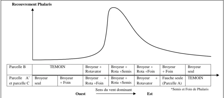 Figure 7. Recouvrement du Phalaris suivant l’orientation (Est-Ouest) et les itinéraires techniques 