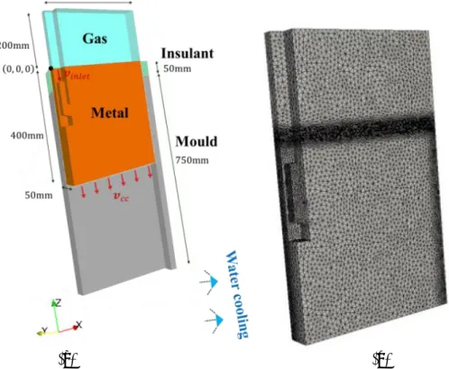 Figure 2.Representation of (a) a schematic for the 3D CC model and (b) the initial mesh configuration