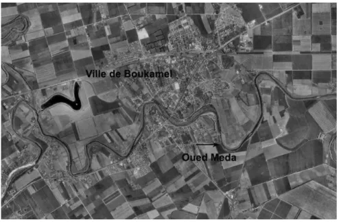 Figure 3.1 Vue aérienne de la ville de Boukamel et de l’oued Meda (Source : Office de la  topographie et de la cartographie)