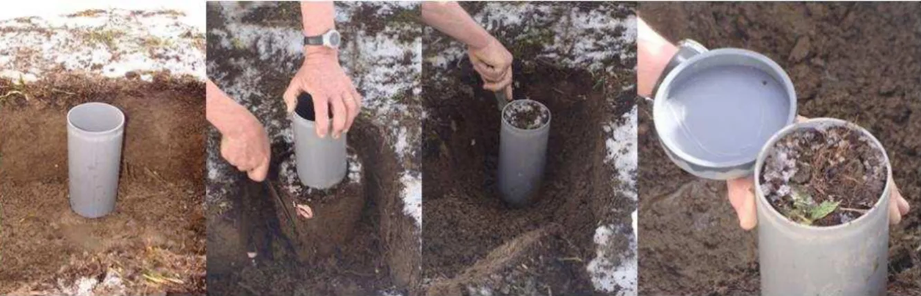 Figure 1. Mode opératoire pour le prélèvement des colonnes de sol. Un trou de 2 m² dans la neige  a d’abord été creusé, puis sur 30cm de profondeur dans le sol sous-jacent